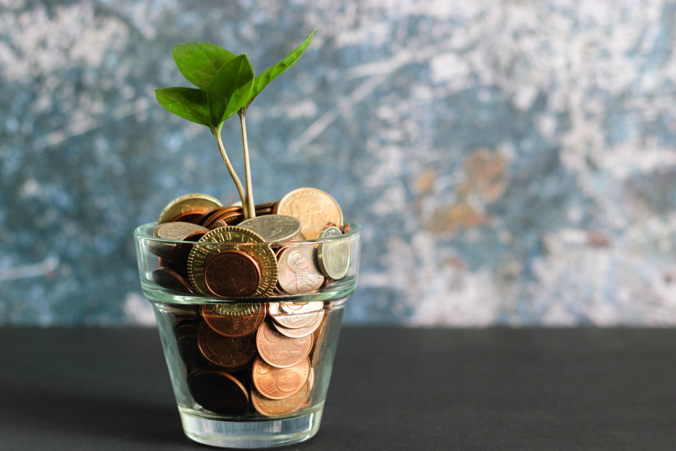 image of money in a pot with a plant growing out of it. Symbolises open banking and the money it can save.